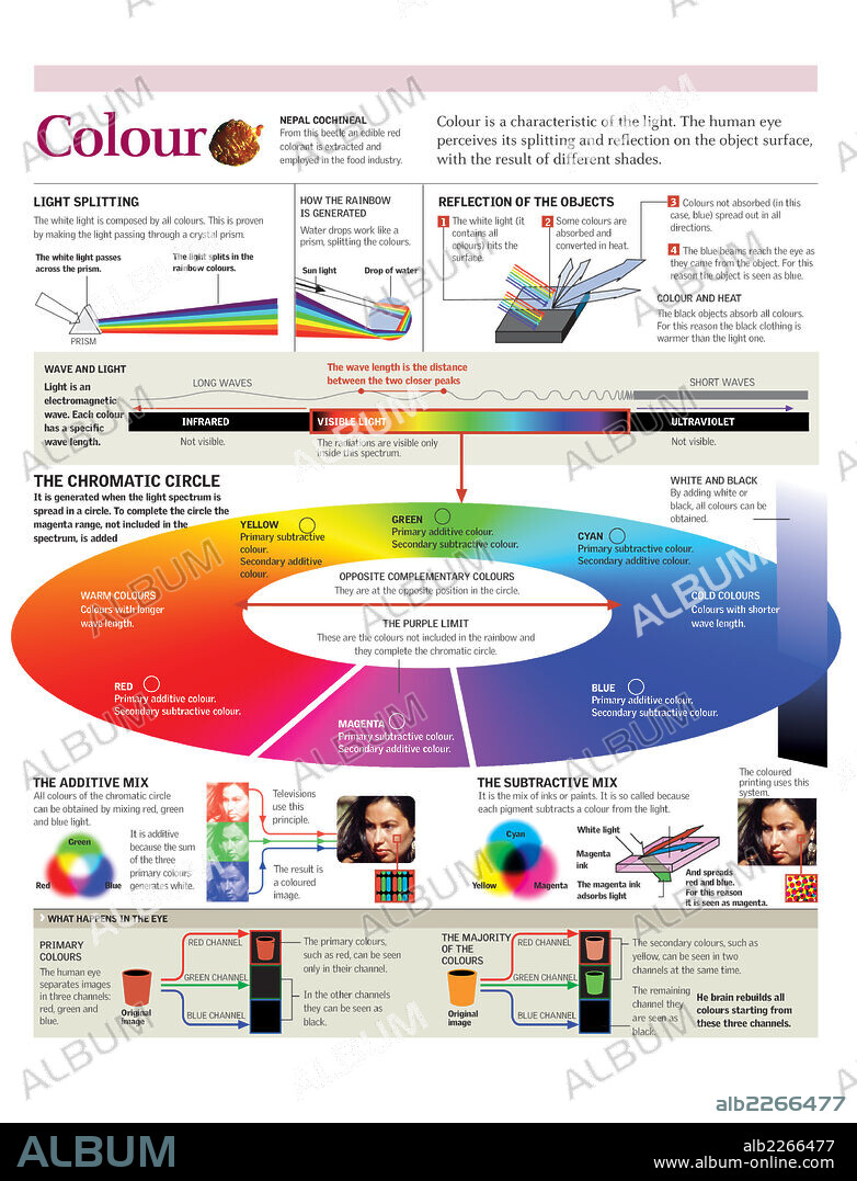 Color. Infografía de la descomposición de la luz y el círculo cromático.