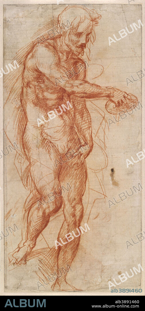 ANDREA DEL SARTO. Study for St John the Baptist. Date/Period: Ca. 1517. Drawing. Red chalk. Height: 385 mm (15.15 in); Width: 188 mm (7.40 in).