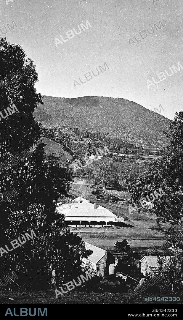 Negative - Bridge Hotel & Police Station, Dargo, Victoria, circa 1916, View looking down hill through trees towards the Bridge Hotel at the intersection of the Omeo Road and Dargo High Plains Road, at Dargo, Gippsland. In the background are the alluvial flats along the Dargo River, and in the foreground at the bottom of the hill there are two horses in a yard at the back of the Police Station.