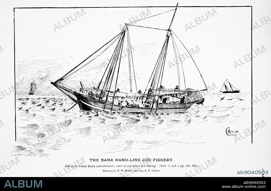 Drawing of an old style Grand Bank cod schooner by H. W. Elliott and Capt. J. W. Collins. Dated 1895.