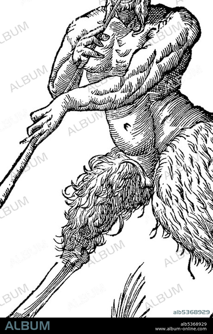 Woodcut, Satyri figura altera cum tauba, satyr with goat's legs, hooves and horns playing the flute, Aldrovandi, Historia Monstrorum, 1642, Renaissance