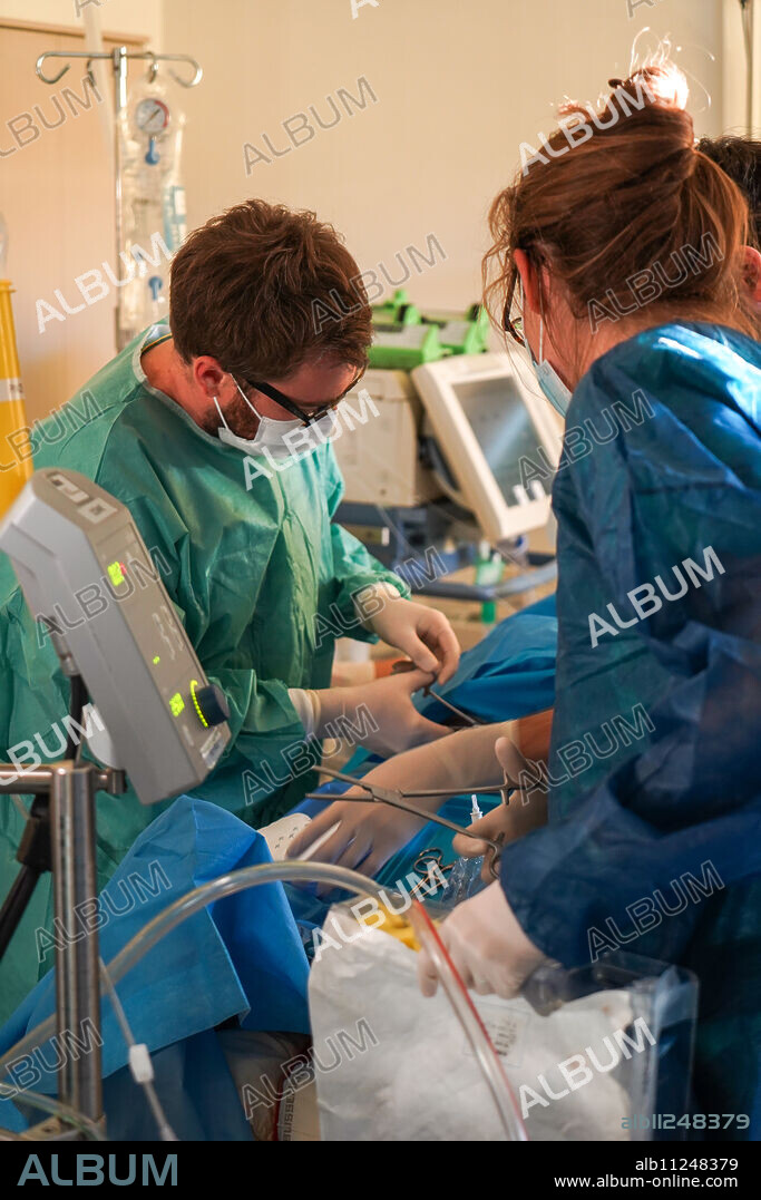 Training of medical interns in the ECMO technique, Extracorporeal Membrane Oxygenation.
