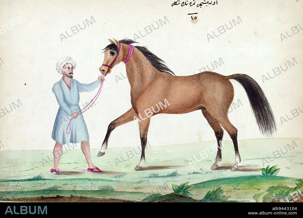 Book on horses, A horse with his ears up when suffering from cold, This is an illustrated Ottoman copy of a Turkish work on the training and care of warhorses (Tufat ül-frisn f avl-i uyl il-muchidn) by Amed A ayyrzde (d. 1294 AH / 1877 CE). The text was written in ruq`ah script by aker Muhammed in 1271 AH / 1854-5 CE.
