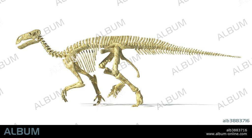 3D rendering of an Iguanodon dinosaur skeleton, side view.