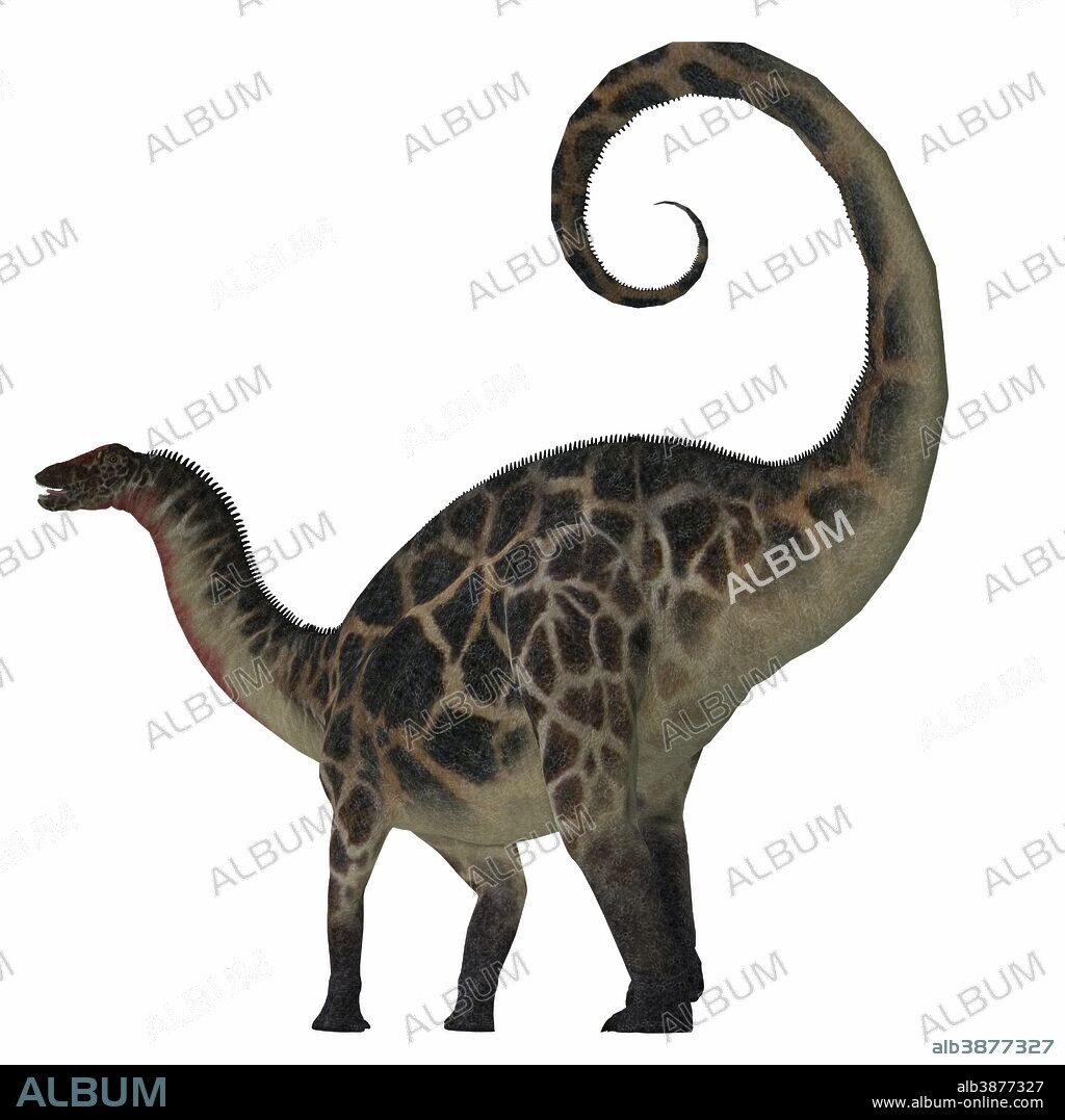 Dicraeosaurus was a sauropod herbivorous dinosaur that lived in the Jurassic Era of Tanzania, Africa.