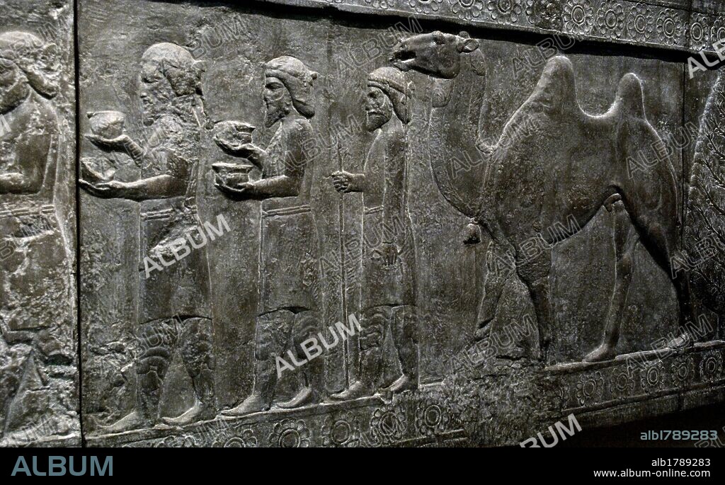 ARTE PERSA. DINASTIA AQUEMENIDA. PERSEPOLIS. S. VI-V a. C. PALACIO DE DARIO I (522-486 a. C.). Detalle de un relieve escultórico en la base de la APADANA o SALON DE RECEPCIONES DEL REY PERSA DARIO I con la representación de PUEBLOS BACTRIANOS Y PARTIANOS PORTANDO OFRENDAS Y UN CAMELLO. Copia del original conservado en su lugar de orígen (Irán). Museo Británico. Londres. Inglaterra. Reino Unido.