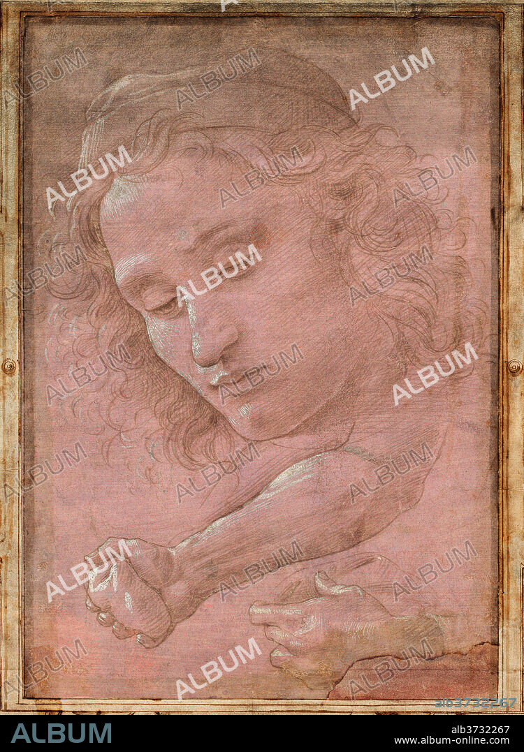 SANDRO BOTTICELLI. Head of a Youth Wearing a Cap; a Right Forearm with the Hand Clutching a Stone; and a Left Hand Holding a Drapery. Dated: 1480/1485. Dimensions: overall: 28.7 x 20.1 cm (11 5/16 x 7 15/16 in.). Medium: metalpoint heightened with white gouache on mauve prepared paper.