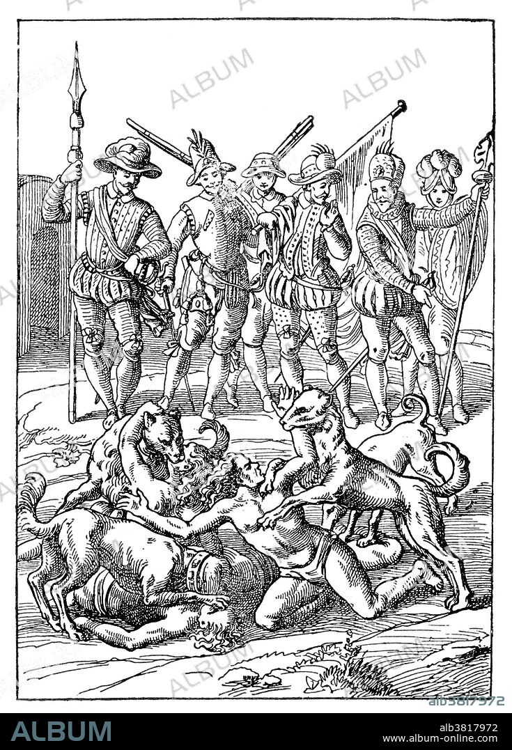 War dogs had been taught to attack the enemy since antiquity, but the numbers brought to and then bred in the New World far exceed what is known about any other military use of attack dogs. Armored hounds were set loose on the naked New World natives. Acts of brutality in the Caribbean and the systematic annihilation the native population prompted Dominican friar BartolomÃ© de las Casas to write "A Short Account of the Destruction of the Indies" in 1552. Las Casas wrote about conquistadors training dogs to attack and kill natives: "The Spaniards train their fierce dogs to attack, kill and tear to pieces the Indians... The Spaniards keep alive their dogs' appetite for human beings in this way. They have Indians brought to them in chains, then unleash the dogs. The Indians come meekly down the roads and are killed. And the Spaniards have butcher shops where the corpses of Indians are hung up, on display, and someone will come in and say, more or less, "Give me a quarter of that rascal hanging there, to feed my dogs until I can kill another one for them." 16th century engraving credited to Theodor de Bry.