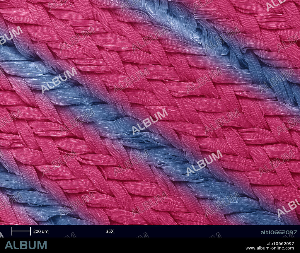 A scanning electron microscope, (SEM), image of fastskin swimsuit fabric. This fabric simulates the water flow found on the skin of sharks. Using natural materials for inspiration has led to these modern fabrics. This fabric allows swimmers to decrease fluid resistance and had led swimmers to record times. This image is 2 mm wide and was imaged at 35x magnification.