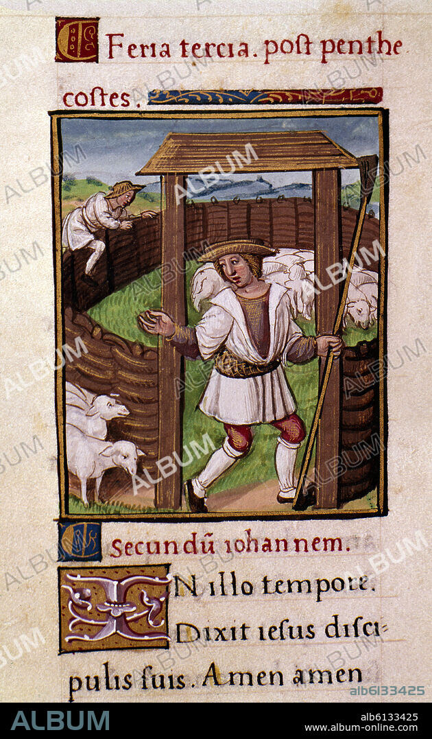 EL BUEN PASTOR - ILUSTRACION DEL EVANGELIO DE SAN JUAN - MANUSCRITO SIGLO XVI.