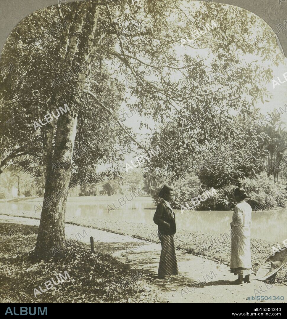 Philadelphia, The Universal Photo Art Company, Kebun Raya Bogor, Graves, Carlton Harlow, A vista in the Botanical Gardens. Buitenzorg, Java, Man and woman in the botanical garden of Bogor, verso - handwritten, stereograph, stereophoto, photographs, Copyright 1902 by CH Graves., recto - printed, 16., 5, height 89 mm, width 179 mm, photographer, 1902 - 1902, cardboard, photographic paper, gelatin silver print, gelatin silver print development, Publication (Event), Publication, publisher.