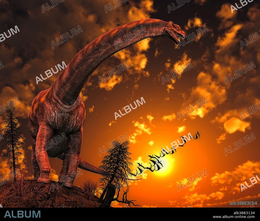 Argentinosaurus, a titanosaur sauropod dinosaur from Argentina. Argentinosaurus lived during the Late Cretaceous Period. It is among the largest known dinosaurs.