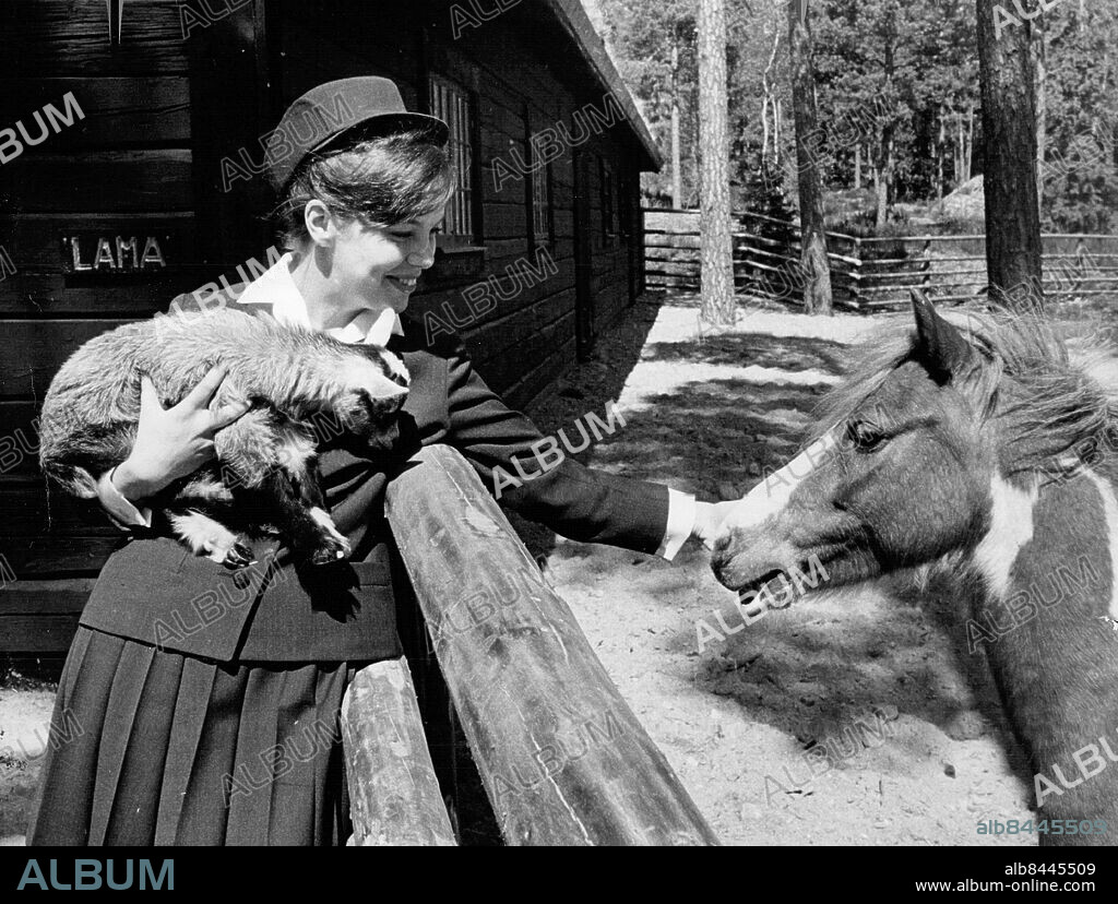 Kolmården 1965-05-24. Kolmården djurpark. Parkvärdinnan Ingvor Lekander med en killing och en häst i Barngården. Foto: John Kjellström / SvD / TT / kod 12014.