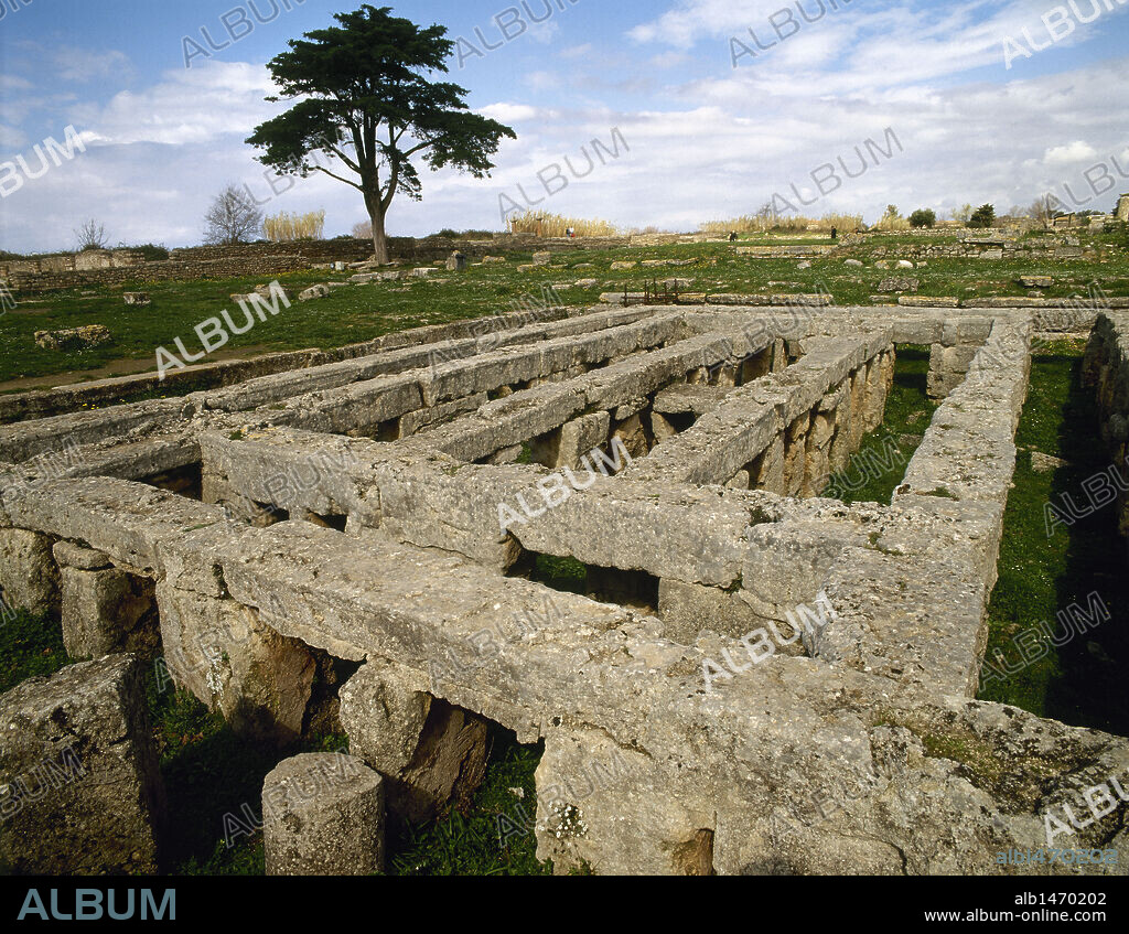 ARTE GRIEGO. MAGNA GRECIA. ITALIA. PAESTUM (antigua ciudad griega de Poseidonia o Posidonia). Vista de la piscina de 20 x 47 cm, perteneciente al antiguo Santuario de Fortuna Virilis y fechada en el siglo III a. C. Provincia de Salermo. La Campania. Sur de Italia. Europa.