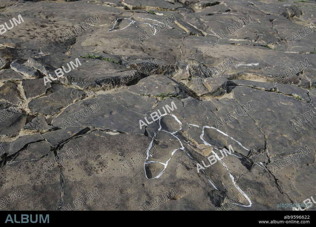 huellas de dinosaurio, Yacimiento de icnitas de La era del Peladillo, Igea, La Rioja , Spain, Europe.