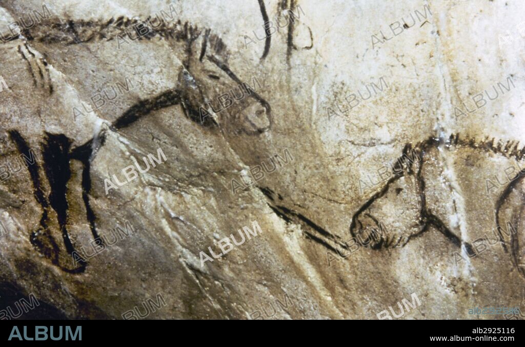 France. Occitaine region. Ariege Department. Cave of Niaux. Magdalenian period (17.000-11.000 years ago). Late Upper Paleolithic. Black room. Cave paintings depicting horses.