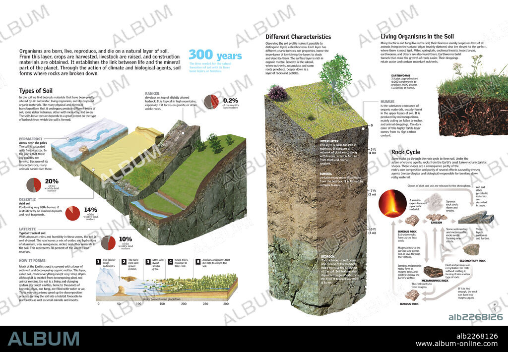 El suelo. Infografía de las capas del suelo, su formación y tipos.