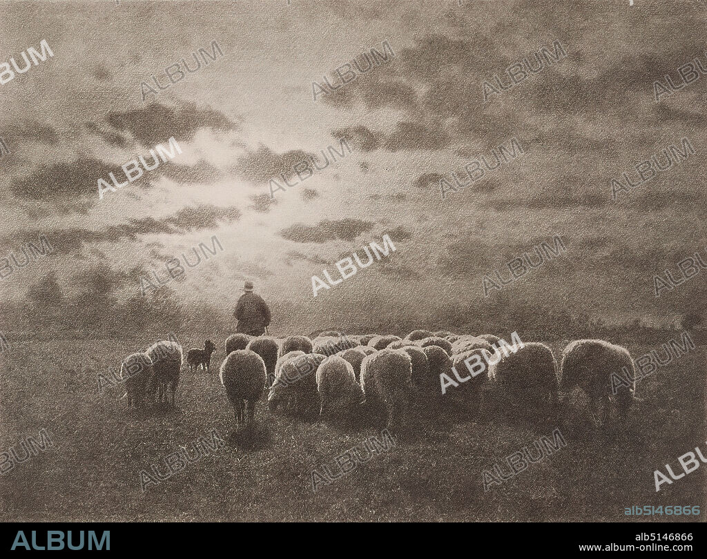 Georg Büxenstein & Comp, Léonard Misonne, Julius Becker, Au coucher du soleil, paper, heliogravure, image size: height: 16.20 cm; width: 21.90 cm, inscribed: recto and: Léonard Misonne, Gilly. Georg Büxenstein & Comp. Berlin hel, recto o.: Die Kunst in der Photographie 1900, published by Julius Becker, Berlin S.W.; recto and on the cardboard box handwritten in white: L. Misonne Gilly, KPh 00, stamp: verso and right: landscape photography, artistic photography, sunset, herding cattle, clouds, sheep, animals, pictorialism.