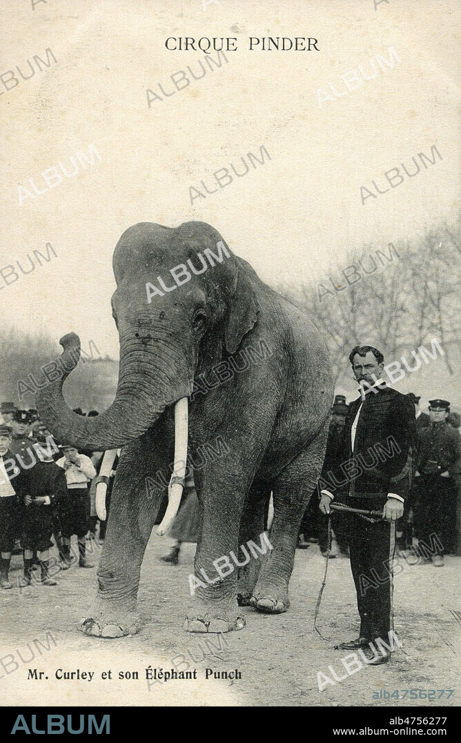 'Cirque Pinder. M. Curley et son elephant Punch'. Photographie anonyme pour une carte postale vers 1920. Credit : Collection IM/KHARBINE-TAPABOR.