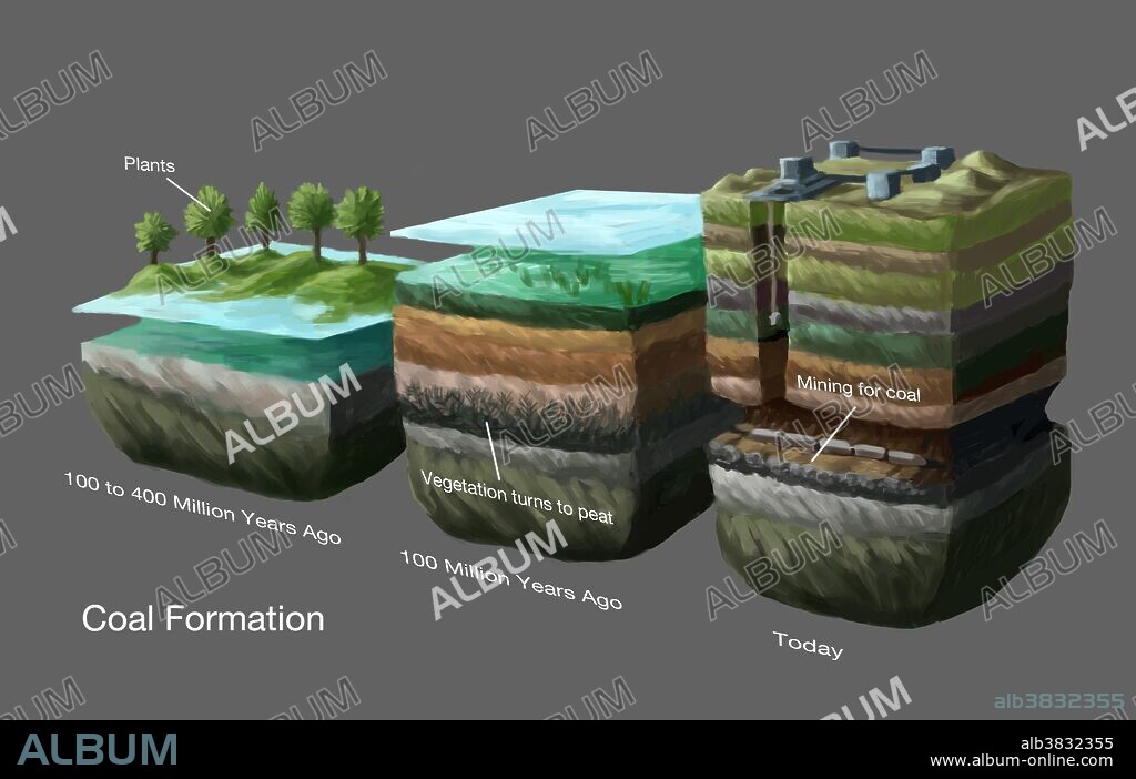 Illustration showing the process of coal formation. The earth once had many dense forests in low-lying wetland areas (Fig. 1, left). In such environments, the accumulation of plant debris exceeds the rate of bacterial decay of the debris. The bacterial decay rate is reduced because the available oxygen in organic-rich water is completely used up by the decaying process. These conditions produce the dense, carbon-rich material known as peat (Fig. 2, middle) which, over millions of years, becomes compressed and heated, turning into coal (Fig. 3, right).