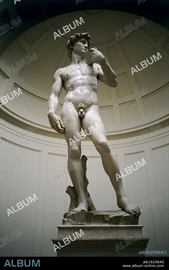 David  1501-4  Michelangelo Buonarroti (1475-1564 Italian)  Marble  Galleria dell 'Academia, Florence, Italy.