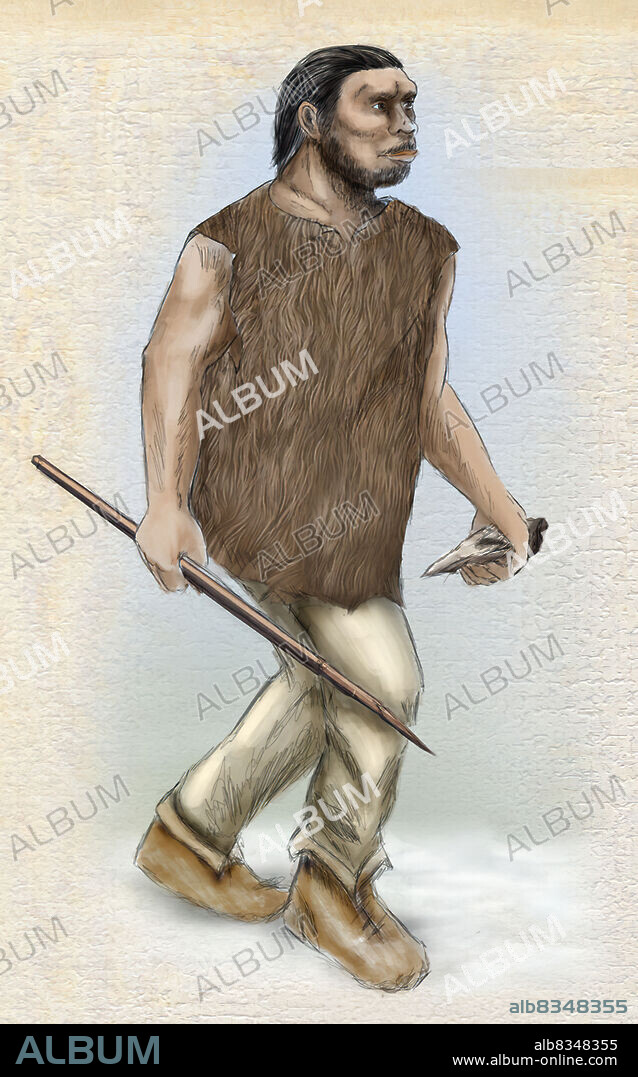 Neanderthal Man, or Homo neanderthalensis, appeared in Europe about 250,000 years ago. Homo neanderthalensis was stocky, with an impressive set of muscles. He measured an average of 512 feet (1.65 m) and could weigh up to 220 pounds (100 kg). This inhabitant of cold lands was well adapted to the harshness of the Nordic climate.