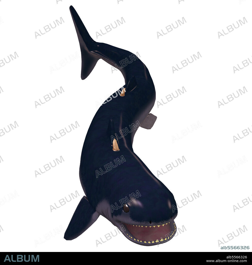 The Cladoselache was a carnivorous early shark that lived in the inland seas of North America during the Devonian Period.