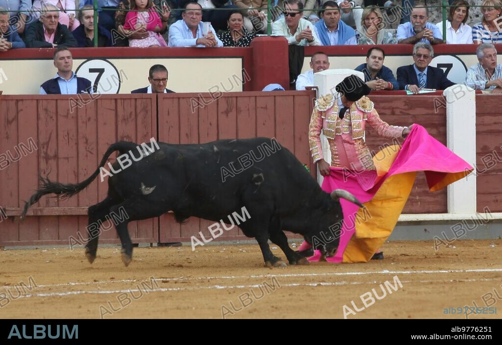 Valladolid. 08.09.13. Foto: Fernando Blanco.  Ivan Fandiño en su segundo toro en  la feria de la Virgen de San Lorenzo, patrona  de Valladolid..  ............ ARCHDC.
