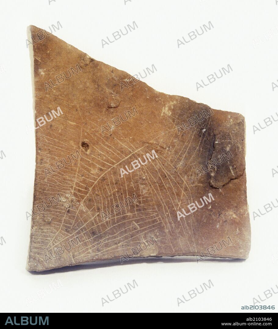 ARTE MUEBLE DEL PALEOLITICO SUPERIOR: PLACA O PLAQUETA DE PIEDRA CALIZA CON CIERVA GRABADA,DE LA CUEVA DE PARPALLO (DEPOSITO: MUSEO DE PREHISTORIA DE VALENCIA).