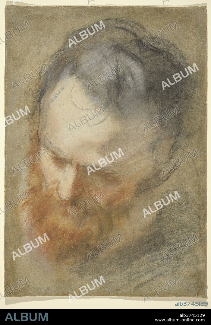 FEDERICO BAROCCI. Head of a Bearded Man. Dated: 1579/1582. Dimensions: overall: 38 x 26.3 cm (14 15/16 x 10 3/8 in.). Medium: red, black, white, and ochre chalks on blue laid paper; laid down.
