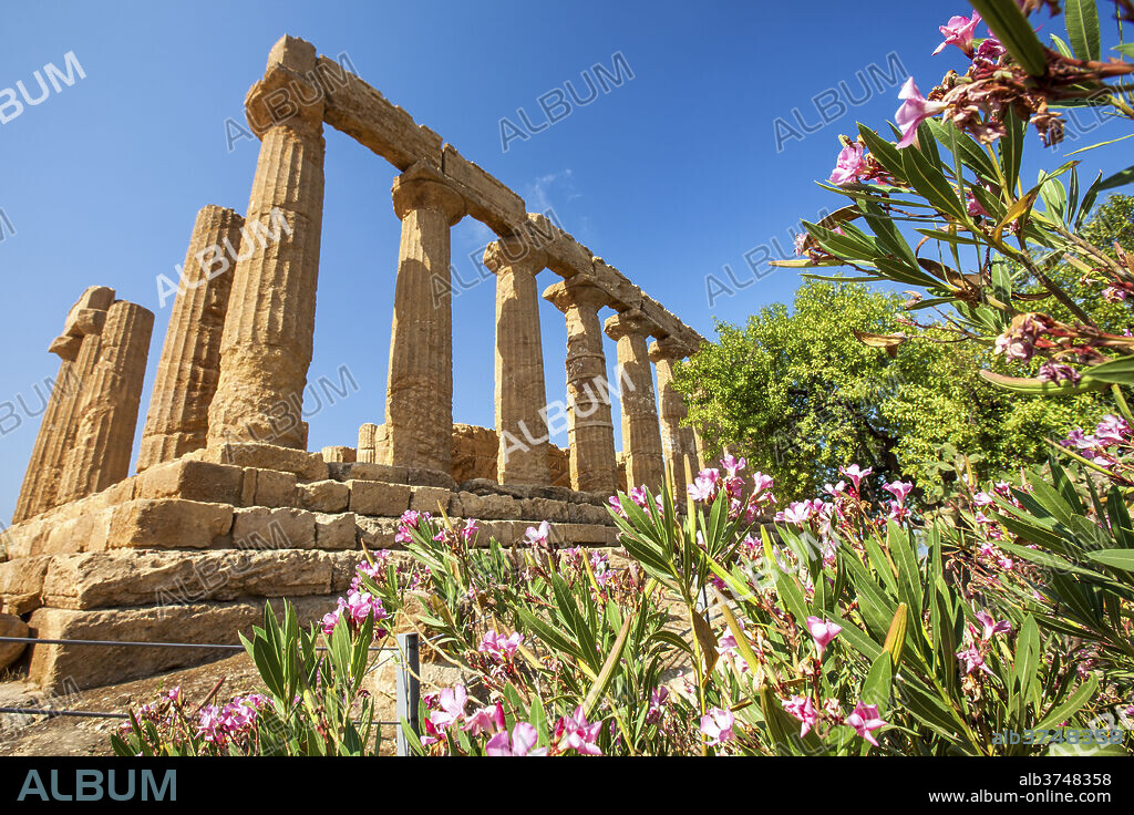 The Temple of Juno, a Greek temple of the ancient city of Akragas located in the Valle dei Templi, UNESCO World Heritage Site, Agrigento, Sicily, Italy, Europe.