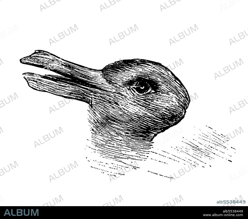 Duck-Rabbit optical illusion first published in Fliegende Blatter (Munich), October 23, 1892, p. 147. The same drawing, or a similar version, has subsequently been attributed to Joseph Jastrow (1899) and quite erroneously to Ludwig Wittgenstein (2002). The Fliegende Blatte version, by an anonymous artist, appears to be the oldest and first published version.