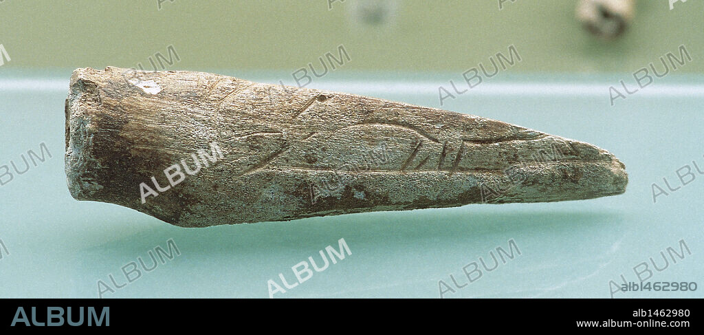 ARTE PREHISTORICO. PALEOLITICO. ESPAÑA. PALEOLITICO SUPERIOR (35.000 a 10.000 a.C.). COMPRESOR DE ASTA DE CIERVO con grabados. Procede de Covacho de Berroberria (Urdax). Museo de Navarra. Pamplona.