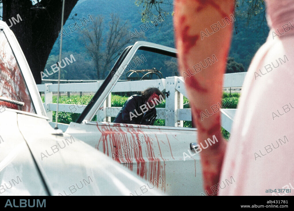LA MANO, 1981 (THE HAND), dirigida por OLIVER STONE. Copyright ORION/WARNER BROTHERS.