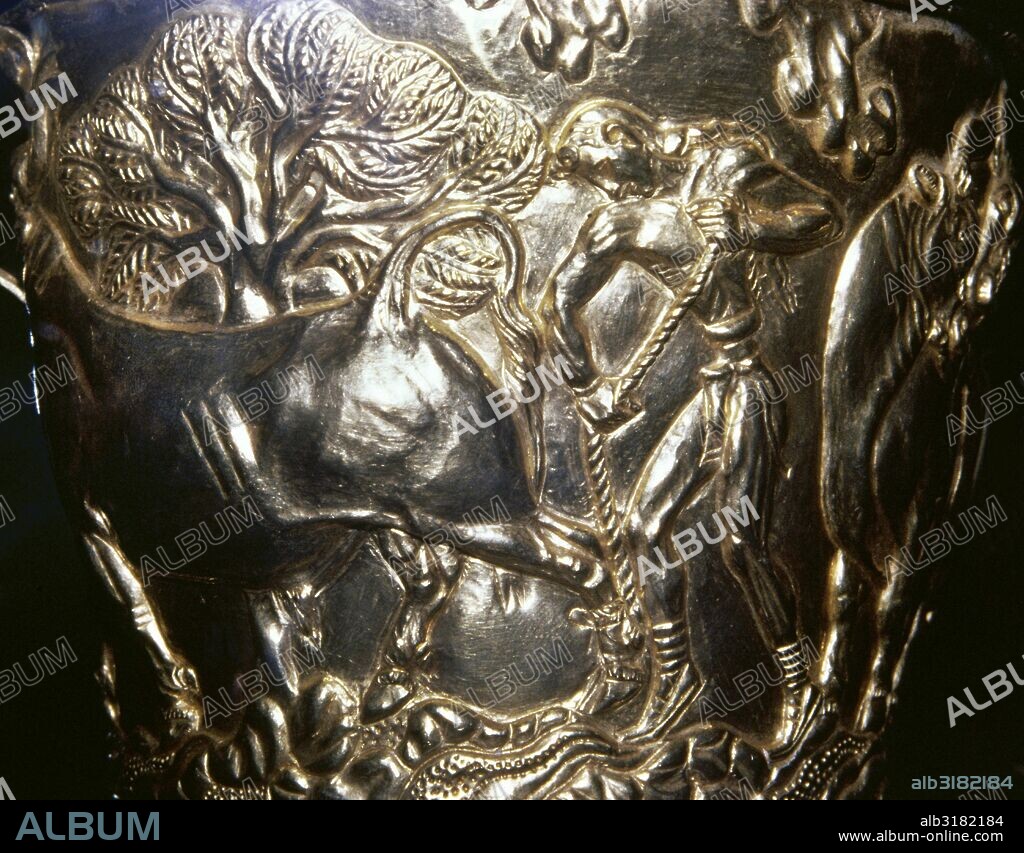 VASO DE VAFIO. Escena bucólica. Detalle del relieve sobre un paisaje rocoso con fondo de olivos y palmeras. Un cabestro conduciendo a un grupo de toros salvajes mientras un joven cretense ata una cuerda a la pata de otro toro. Realizado en oro repujado. Alto: 7,9 cm. Diámetro: 10,9 cm. Procedente de la tumba de Vafio, cercana a Esparta (Laconia). Datado entre 1500-1450 a. C. Museo Arqueológico Nacional. Atenas. Grecia.