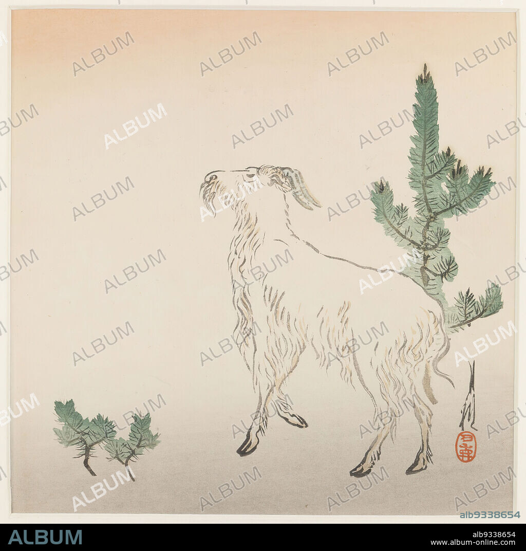 Goat, Ogata Gekko, Japanese, 1859-1920, Color woodblock print on paper, Japan, ca. 1890-1910, Meiji Period, 9 x 9 1/8 in., 22.9 x 23.2 cm, Animals, Goat, herbivore, hooves, horns, Japan, Japanese, mammal, Meiji Period, Minimal, Nature, omnivore, pines, Plants.