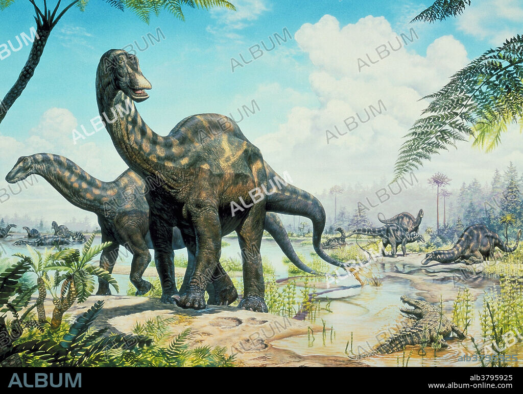 Dicraeosaurus (sauropod) from the early Cretaceous era of Africa.