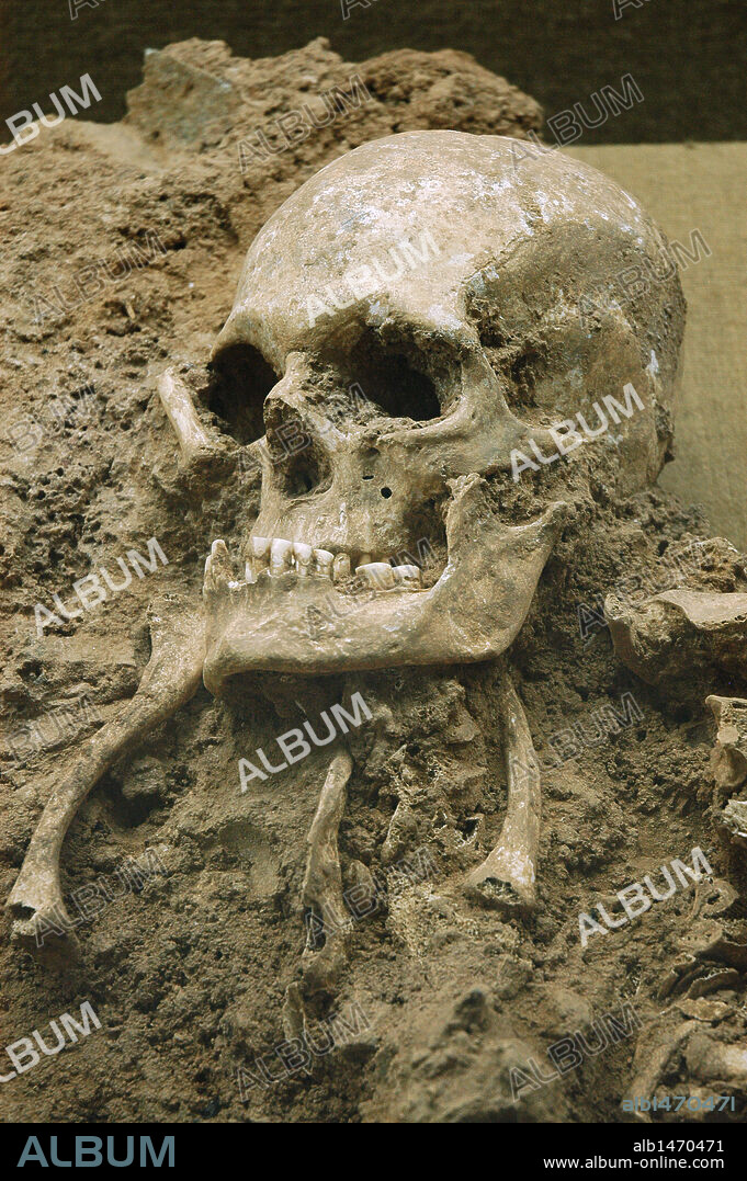 Skull from "Escoural Grotto". Neoli_tco Middle-end. Archaeology Museum. Montemor-o-Novo. Portugal.