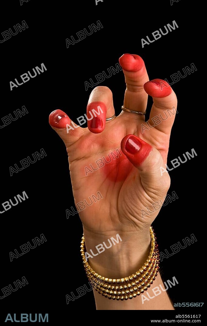 Woman hand showing Kangula hasta (hand gesture) (also called mudra) (meaning "Tail") of indian classic dance Bharata Natyam. Also used in other indian classical dances Kuchipudi and Odissi