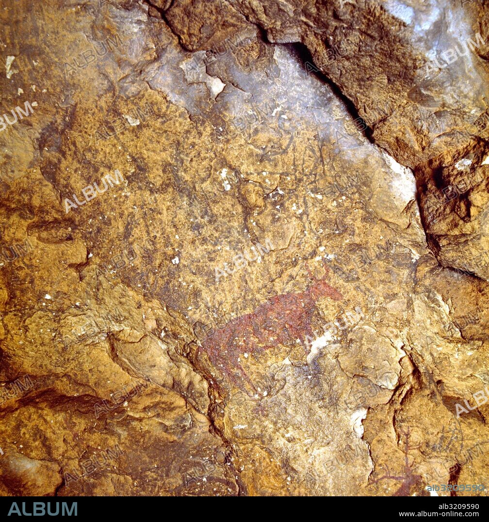 CUEVA DE LOS LETREROS (93), PINTURAS RUPESTRES, ARTE FIGURATIVO, ANIMALES CAPRIDOS, CERVIDOS Y BOVIDOS (CABRAS, CIERVOS Y TOROS)  . ALMERÍA, ANDALUCIA, ESPAÑA.