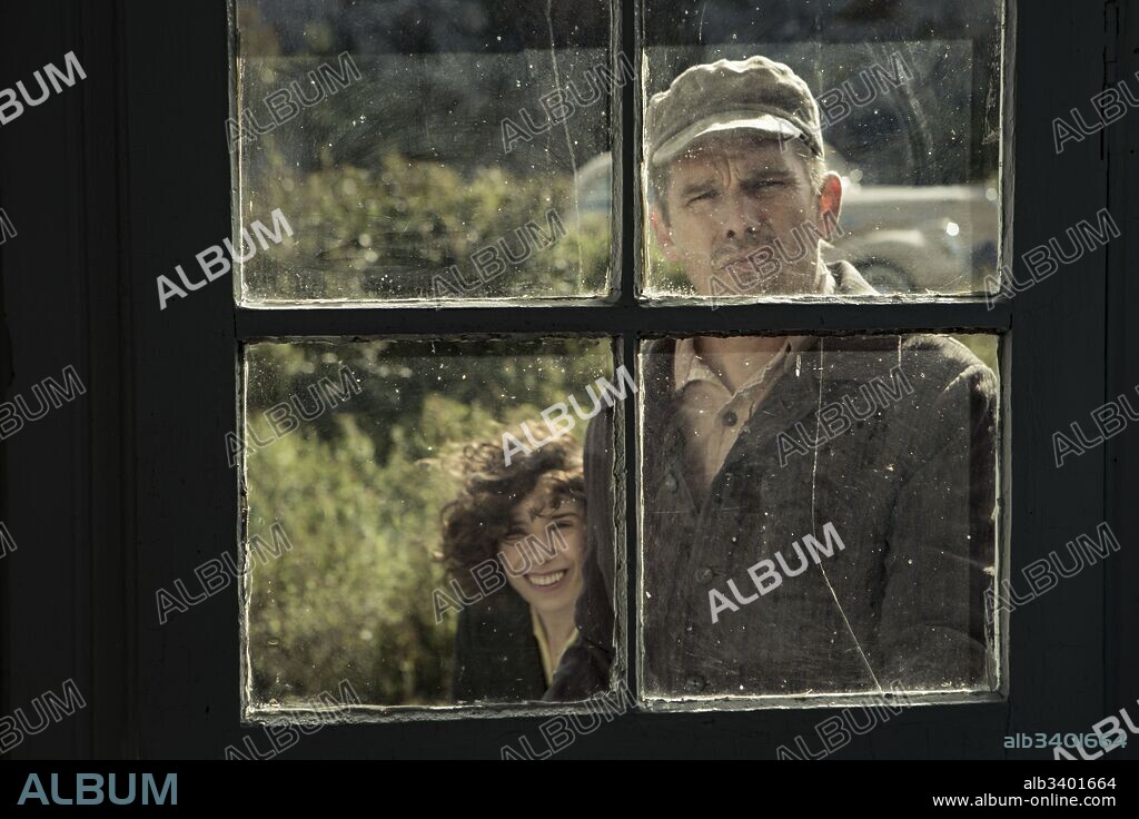 ETHAN HAWKE and SALLY HAWKINS in MAUDIE, 2016, directed by AISLING WALSH. Copyright LANDSCAPE ENTERTAINMENT.
