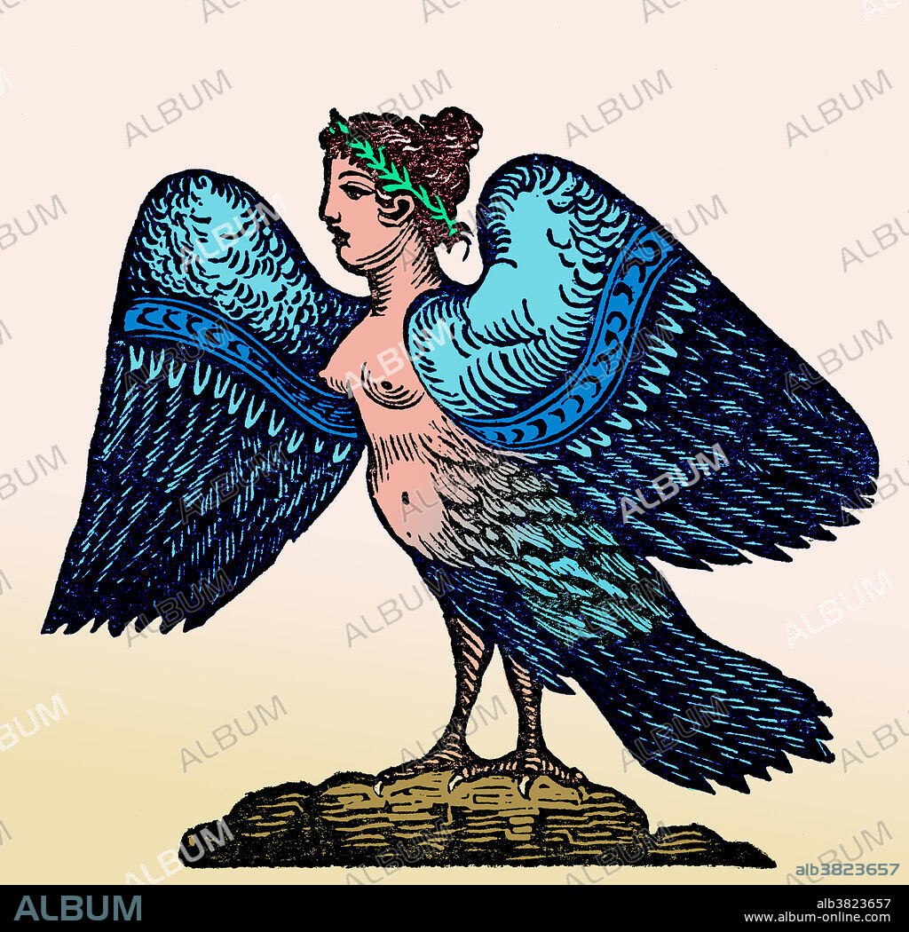 Colour enhancement of a Harpy, a legendary creature. In earlier versions of Greek myth, Harpies were described as beautiful, winged maidens. Later they became winged monsters with the face of an ugly old woman and equipped with crooked, sharp talons. The literal meaning of the word seems to be that which snatches. They were agents of punishment who abducted people and tortured them. They lived on the islands of the Strophades, and were usually seen as the personifications of the destructive nature of wind: Aello (storm swift), Celaeno (the dark) and Ocypete (the swift wing). They are best known for constantly stealing all food from Phineas. Colour.