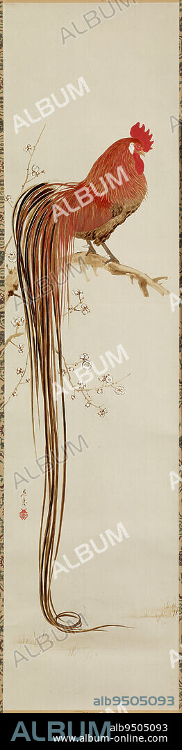 Long-tailed Rooster, 19th century, Shibata Zeshin, Japanese, 1807 - 1891, 47 x 11 1/2 in. (119.38 x 29.21 cm) (painting), Ink, color, and lacquer on paper (urushi-e), Japan, 19th century, Onagadori are roosters specially bred in Japan for their long tail feathers. Here, Shibata Zeshin depicted an extraordinary specimen whose feathers hang to the ground from the rooster's perch on a plum branch. Typical of Zeshin's style, the bird is rendered with superhuman precision, with each feather of its luxurious plumage carefully delineated in lustrous pigments.