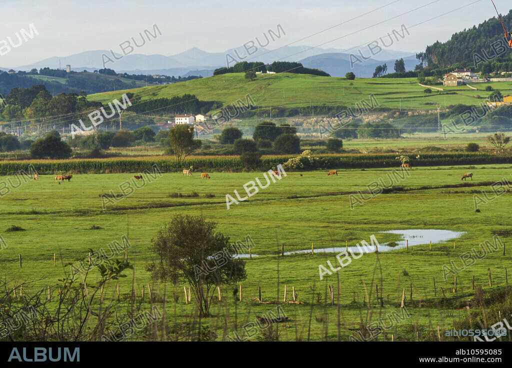 landscape with the peaks of Europe in the background, Cantabria, Spain.