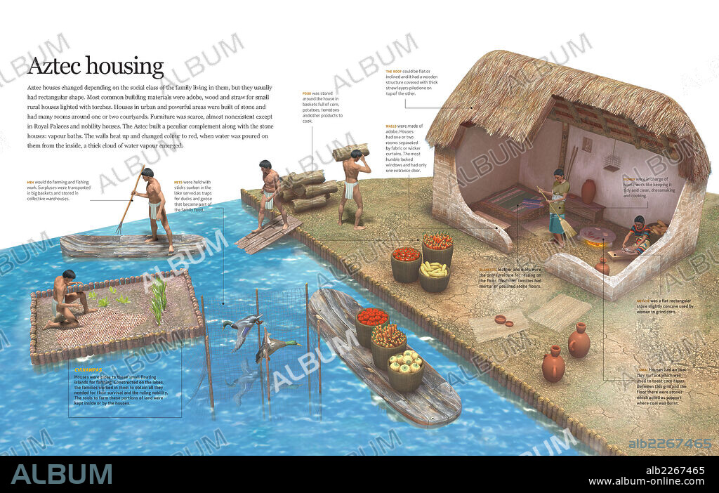 The Aztec housing. Infographics of daily life of Aztecs and their housing.
