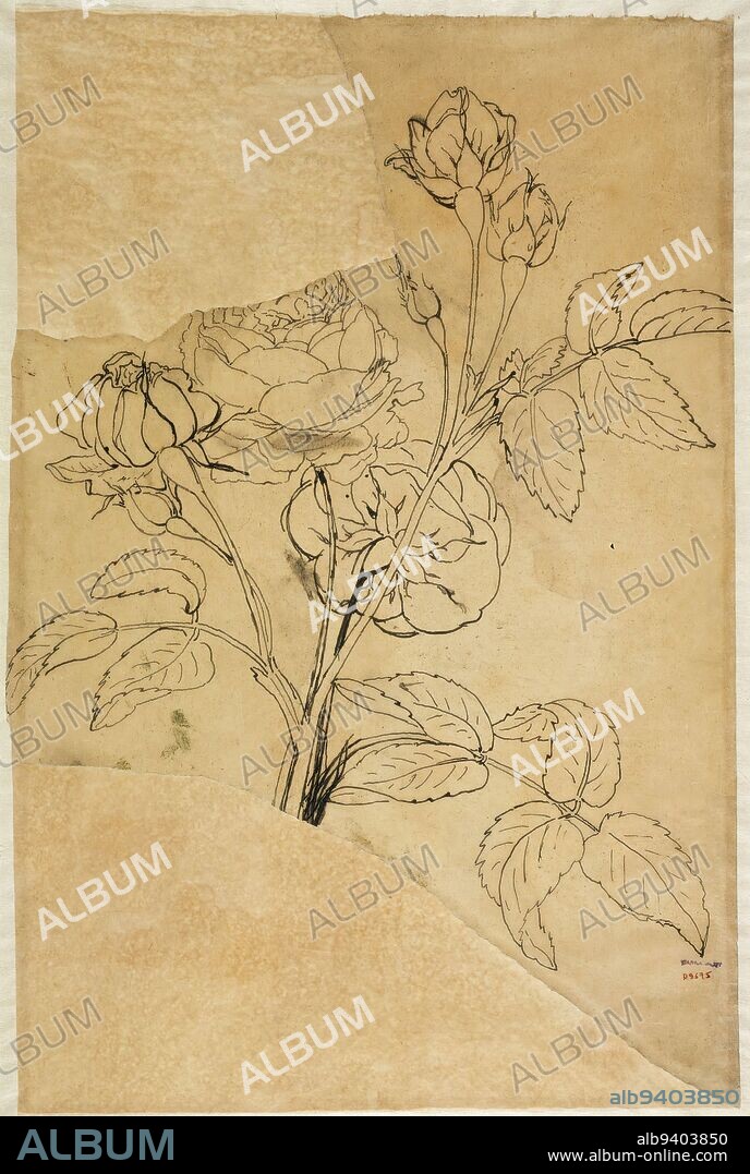 Vegetal motif, Carbillet, Jacques François, Draftsman, Boichot, Guillaume, Draftsman, Drawing, Graphic arts, Drawing, Plume (Graphic arts), Ink, Tracing paper, Dimensions - Work: Height: 47.7 cm, Width: 31 cm, Dimensions: Height: 65 cm, Width: 50 cm, Dimensions: Height: 56 cm, Width: 40 cm.