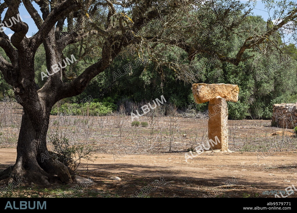 Can Garra Seca, Megalithic elements, «Camí de sa Torre», municipality of Llucmajor, Mallorca, Balearic Islands, Spain.