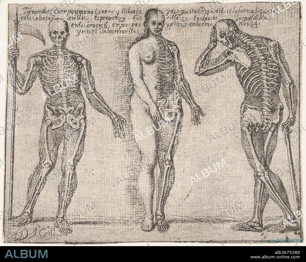 JOSÉ GARCÍA HIDALGO. Studies of three skeleton, from the 'Principios para estudiar el Nobilísimo y Real arte de la Pintura' (Madrid 1693). Artist: José García Hidalgo (Spanish, Villena 1645-1717 Madrid). Dimensions: Sheet: 6 5/16 × 7 7/8 in. (16 × 20 cm). Date: ca. 1693.