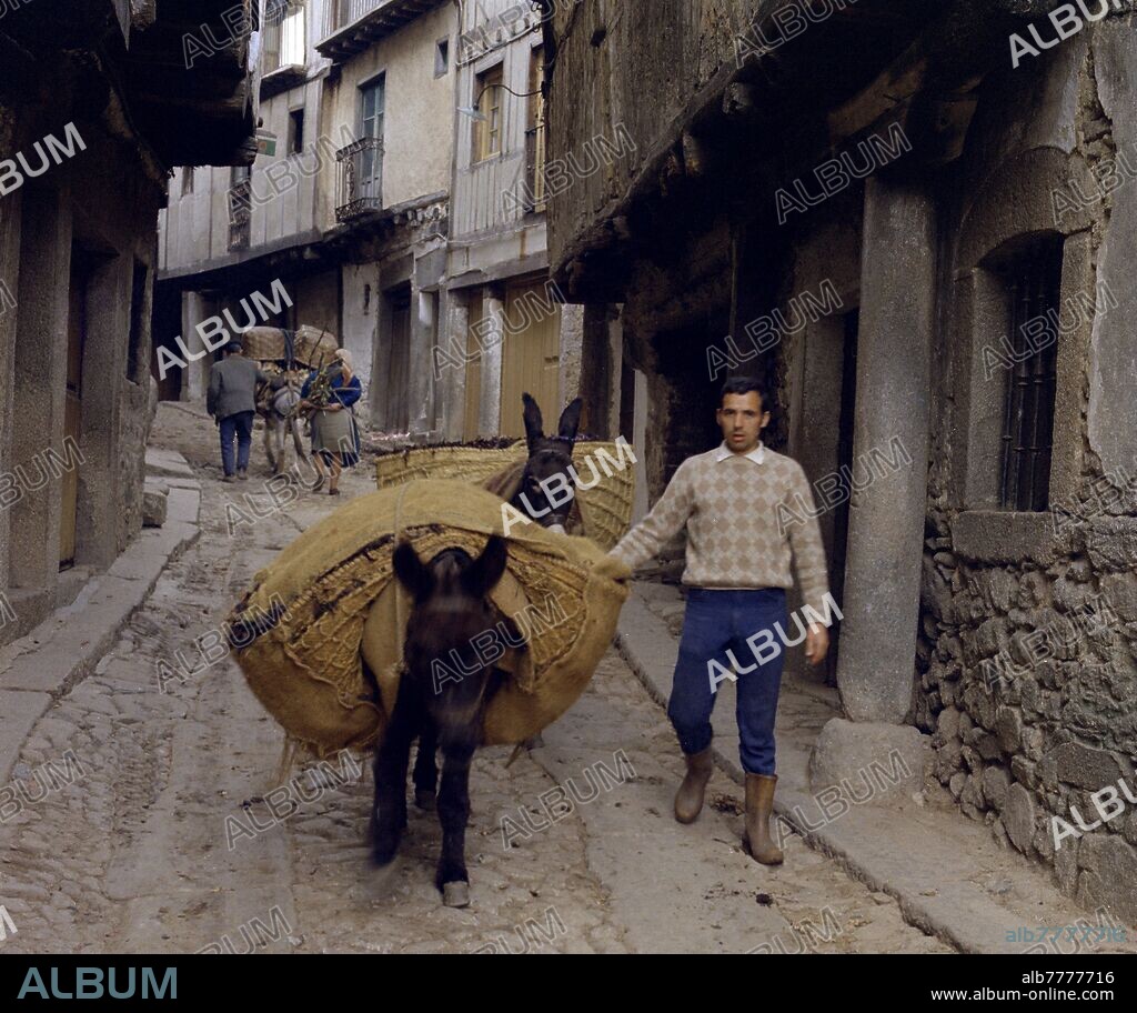 BURRO CON ALFORJAS EN UNA CALLE AÑOS 60.