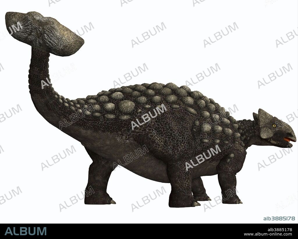 Ankylosaurus, a heavily armored herbivore dinosaur from the Cretaceous Period.